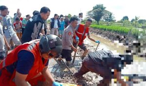 tewas kesetrum tewas kesetrum
